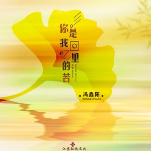 你是我回忆里的苦