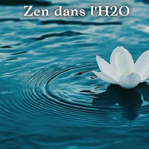 Harmonie Zen dans l'H2O: Musique Zen Relaxante avec Sons d'Eau, Ambiance Paisible pour Spa, Yoga et Détente