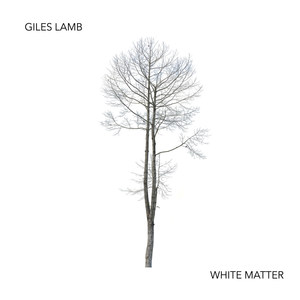 White Matter