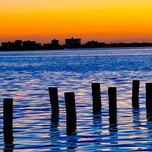 Love This Little Town (feat. The Carnivorous Squirrels)