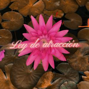 Ley de atracción