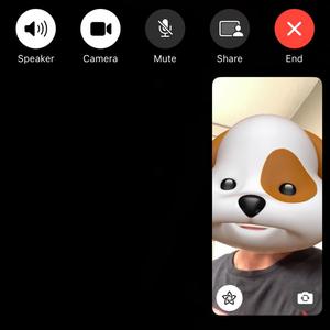 FaceTime (Explicit)