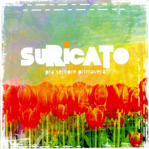 Superfície Da Gente