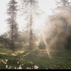 Imissyou (feat. Kilo Heart) (Explicit)