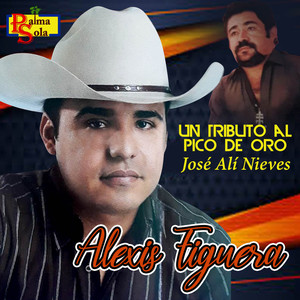 Un Tributo Al Pico De Oro