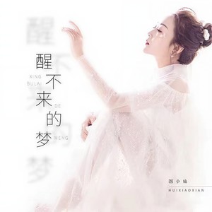 醒不来的梦 (DJ沈念版)封面