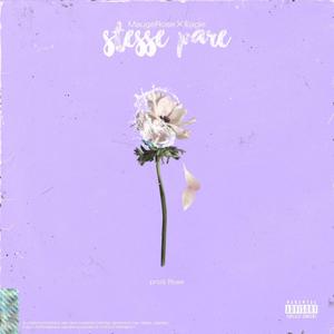Stesse Pare (feat. Mauge Rose) (Explicit)