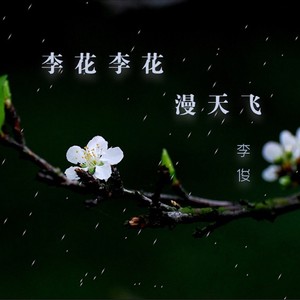 李花李花漫天飞 (伴奏)