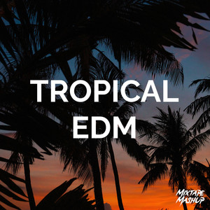 Tropical EDM