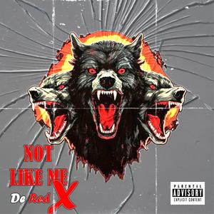 Not Like Me (Explicit)