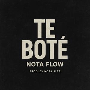 TE BOTÉ