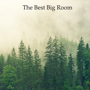 The Best Big Room Pt.018