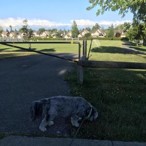 Luvstory (feat. OKTOTSU & CauZ) (Explicit)