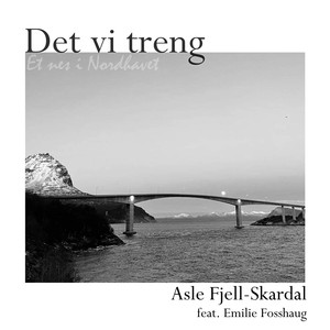 Det vi treng