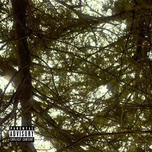 Lost in the Haze (Explicit)