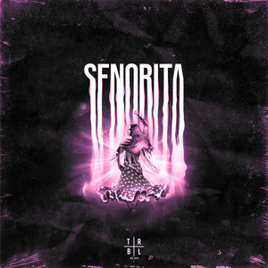 Senorita (Slowed)