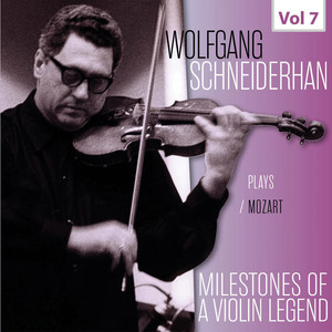 Violin Concerto No. 4 in D Major, K. 218 - Violin Concerto in D Major, K. 218: I. Allegro