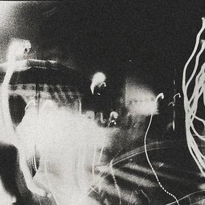 Rohaan Bleu - BODY SIGNS (Explicit)