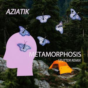 Metamorphosis (Remix Version|Explicit)