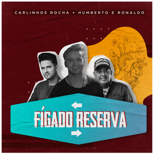 Fígado Reserva