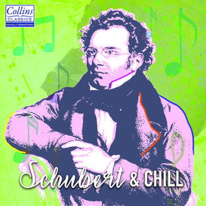 Piano Trio in B Flat Major, D. 28 - Sonatensatz