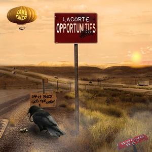Opportunities (Explicit)