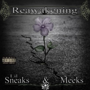 Reawakening (Explicit)