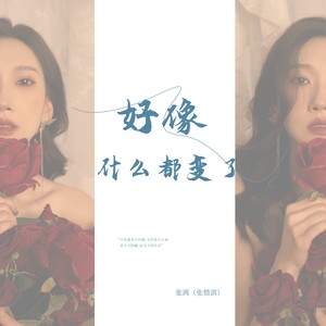 张茜（张惜淇） - 好像什么都变了 (伴奏)