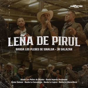 Leña De Pirul