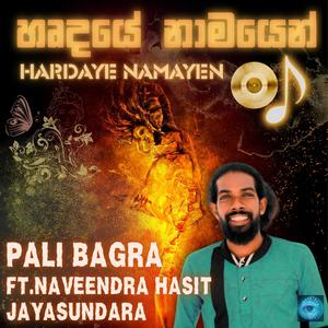 Hardaye Namayen (feat. Pali Bagra)