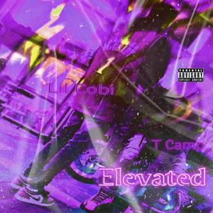 Elevated (feat. Lil Cobi) [Explicit]