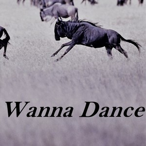 Wanna Dance (Explicit)