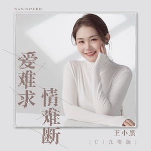 爱难求情难断 (DJ九零版)封面