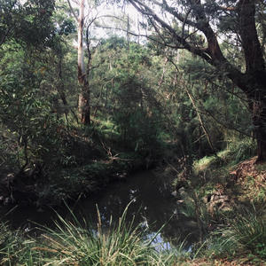 Matt Laing - Pieces of isolation 3. Funeral for one