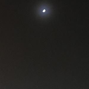 Man In The Mist (Explicit)