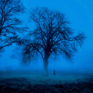 comfort in a strangers smile