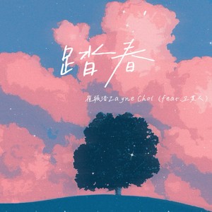 踏春（feat.卫某人）封面