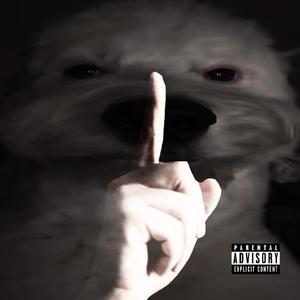 secret (Explicit)