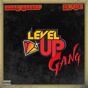 Level Up Gang (feat. LVL Fried) [Explicit]