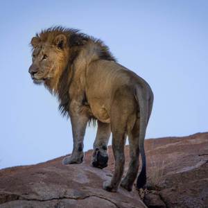 A Exit Plan (Explicit)