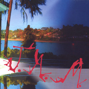 The Wave that Got Away