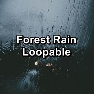 Forest Rain Loopable