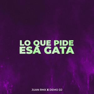 Lo que pide esa gata (feat. Demo DJ)