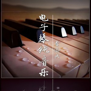 无奈的思绪 (DJ电子琴版)