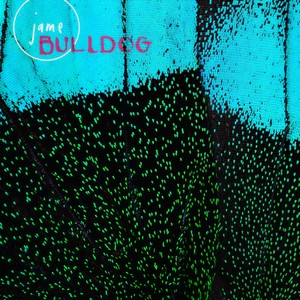 Bulldog - I Forget You