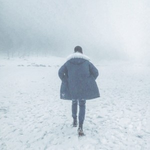 The Wang (Demo,轻熟女27remix)