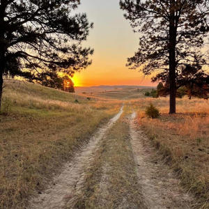 hennessy replaced you