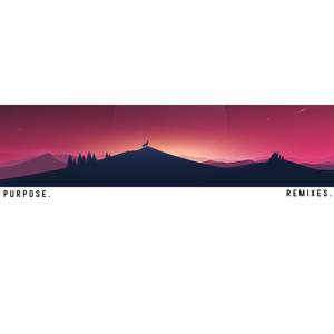 Purpose (Miyuri Remix)