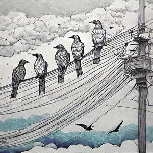 let the birds speak (Radio Edit)