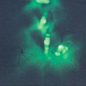 Benched on the Side of the Road